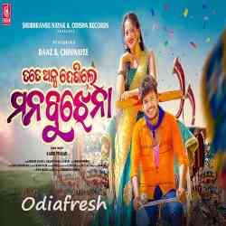 Tate Alpa Dekhile Mana Bujhena